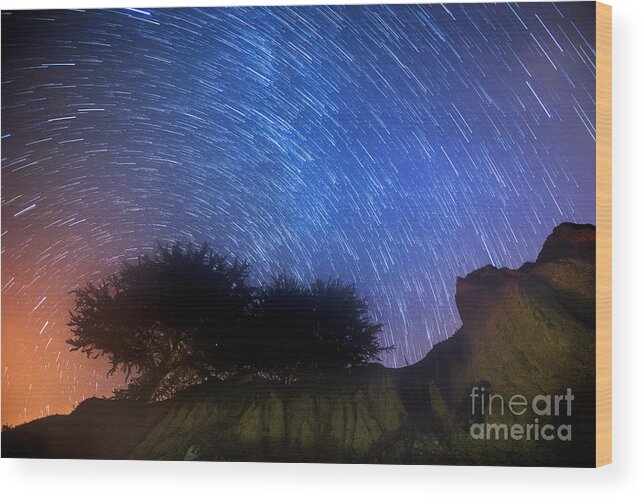 Stars Wood Print featuring the photograph Star Trails Above Shell Beach by Mimi Ditchie
