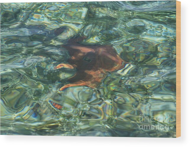 Water Wood Print featuring the photograph Starfish Abstract by Edward R Wisell
