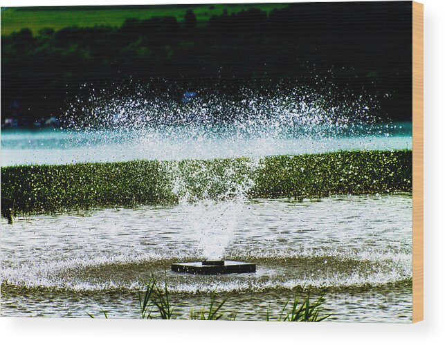 Water Wood Print featuring the photograph Starkey's Fountain by William Norton