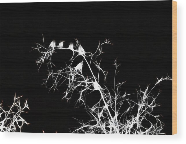 Starlings Wood Print featuring the photograph Starlings Night by Lawrence Christopher