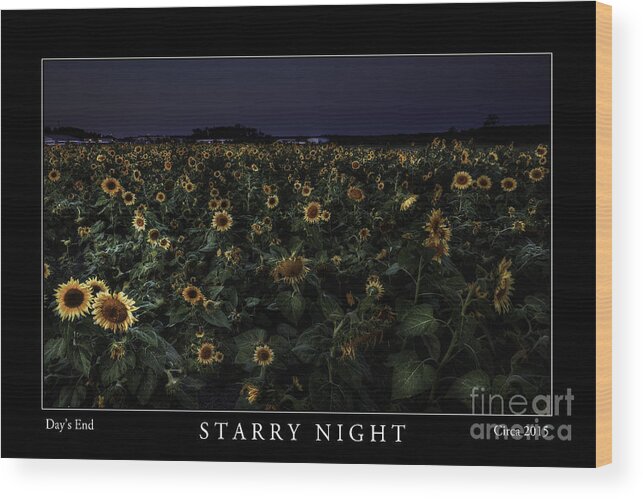 Fine Art Wood Print featuring the photograph Starry Night by Gene Bleile Photography 