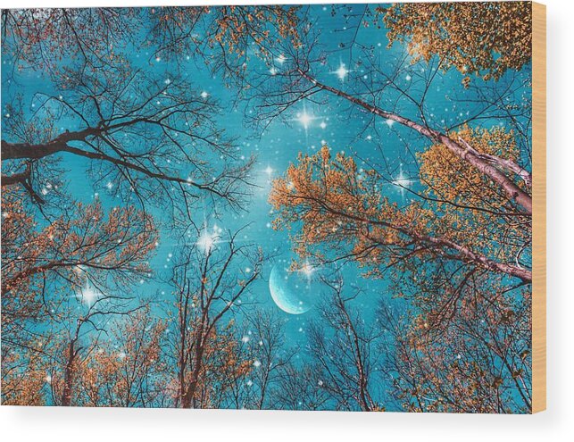 Starry Sky In The Woods Wood Print featuring the photograph Starry Sky in the Woods by Marianna Mills