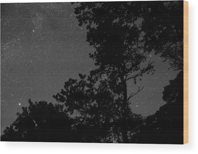 Cape Cod Wood Print featuring the photograph Stars Over Eastham by Thomas Sweeney