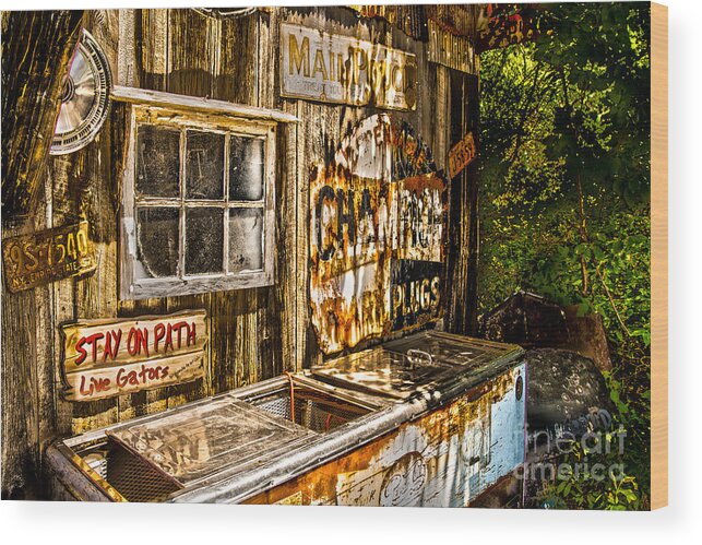 Cooler Wood Print featuring the photograph Stay on the Path by William Norton