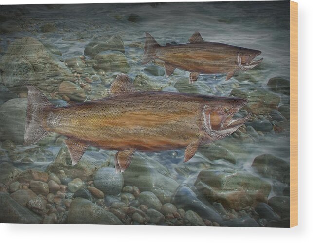 Art Wood Print featuring the photograph Steelhead Trout Fall Migration by Randall Nyhof