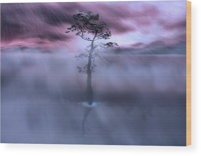 Landscape Wood Print featuring the photograph Stick Together the Storm Will Pass by Gray Artus