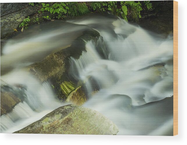 Stickney Brook Road Wood Print featuring the photograph Stickney Brook Flowing by Tom Singleton