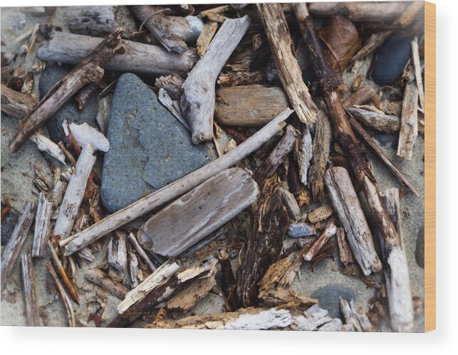 Beach Debris Wood Print featuring the photograph Sticks and Stones by Bonnie Bruno