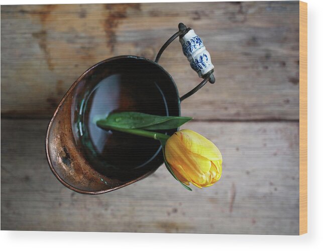 Still Life Wood Print featuring the photograph Still Life with Tulip by Nailia Schwarz