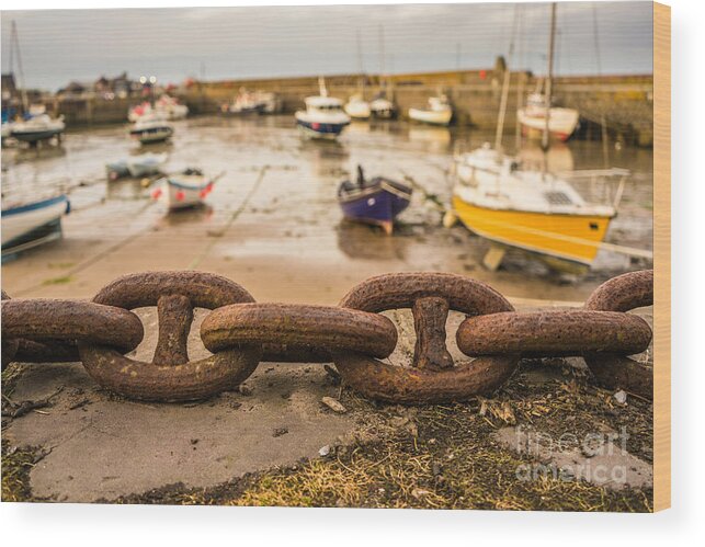 Chain Wood Print featuring the photograph Stonehaven chain by Howard Ferrier