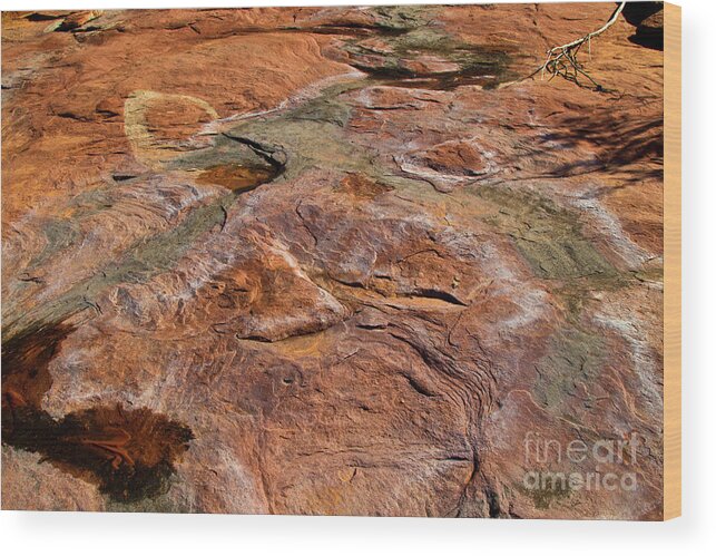 Lake Powell Wood Print featuring the photograph Stoney Wash by Kathy McClure