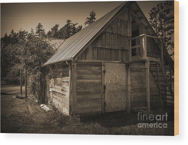 Storage-shed Wood Print featuring the photograph Storage Shed In Sepia by Kirt Tisdale