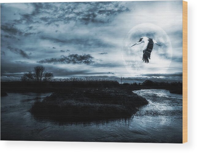  Nature Wood Print featuring the photograph Stork in Moonlight by Jaroslaw Grudzinski