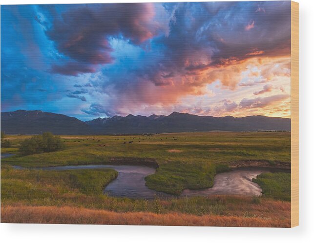 Oregon Wood Print featuring the photograph Storm at Prairie Creek by Dan McGeorge