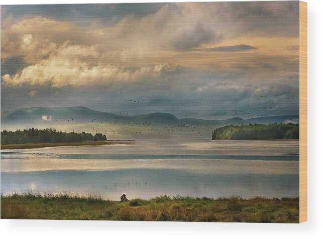 Canada Wood Print featuring the photograph Storm Clouds and Startled Geese by Tracy Munson