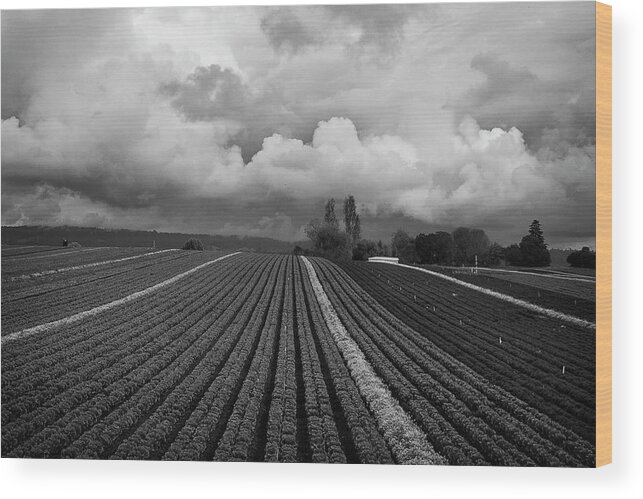 Storm Wood Print featuring the photograph Stormy Skies by Morgan Wright
