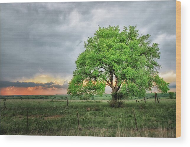 Storm Wood Print featuring the photograph Stormy Tree by Jolynn Reed