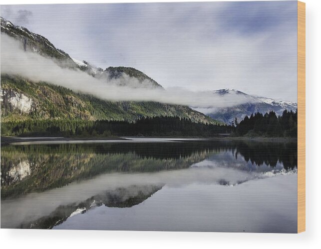 Strathcona Park Wood Print featuring the photograph Strathcona Park BC by Kathy Paynter