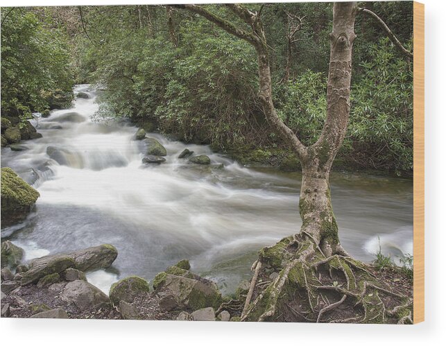 Original Wood Print featuring the photograph Stream below Torc Waterfall Killarney National Park by WAZgriffin Digital