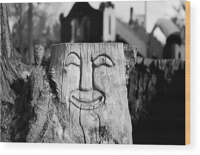 Tree Stump Wood Print featuring the photograph Stump face 1 by Stephen Holst