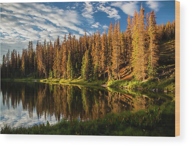 Colorado Mountain Trail Wood Print featuring the photograph Stunning Sunrise by Doug Scrima