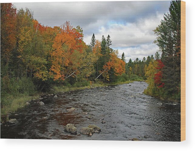 River Wood Print featuring the photograph Sturgeon River 1 by Brook Burling