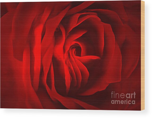 Rose Wood Print featuring the photograph Sultry Mood by Krissy Katsimbras