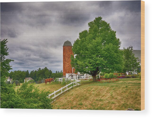 Green Wood Print featuring the photograph Summer At The Farm by Tricia Marchlik