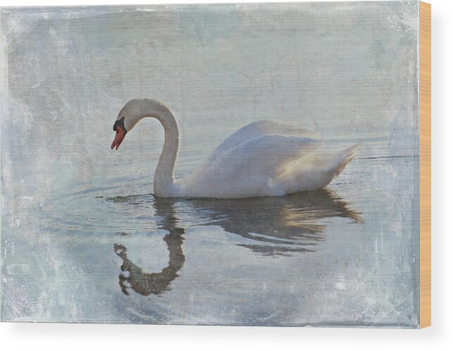 Swan Wood Print featuring the photograph Summer Drift by Jill Love