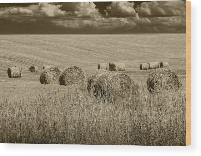 Art Wood Print featuring the photograph Summer Harvest Field with Hay Bales in Sepia by Randall Nyhof