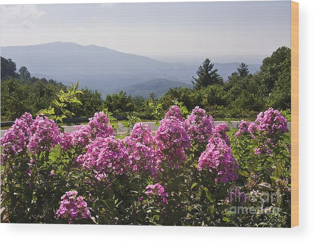 Mountain Wood Print featuring the photograph Summer in the Mountains by Jill Lang