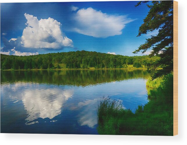 Evening Wood Print featuring the photograph Summer On the Lake by Amanda Jones