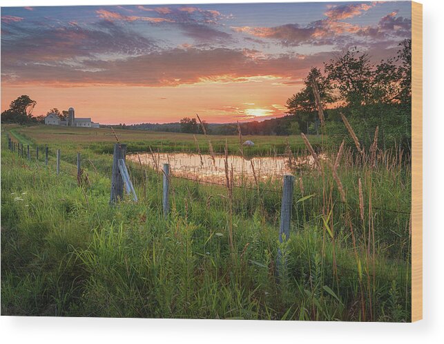 Sunset Wood Print featuring the photograph Summer Sorbet by Kim Carpentier
