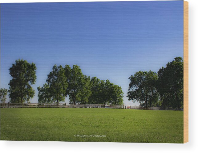 Landscape Wood Print featuring the photograph Summer Trees by Tracey Rees