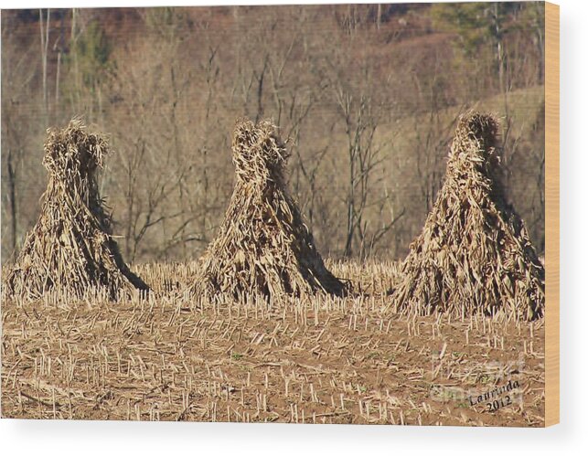 Corn Stalks Wood Print featuring the photograph Summer's End by Laurinda Bowling