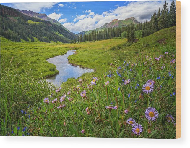 Crested Butte Wood Print featuring the photograph Summers in Crested Butte by Jared Perry 