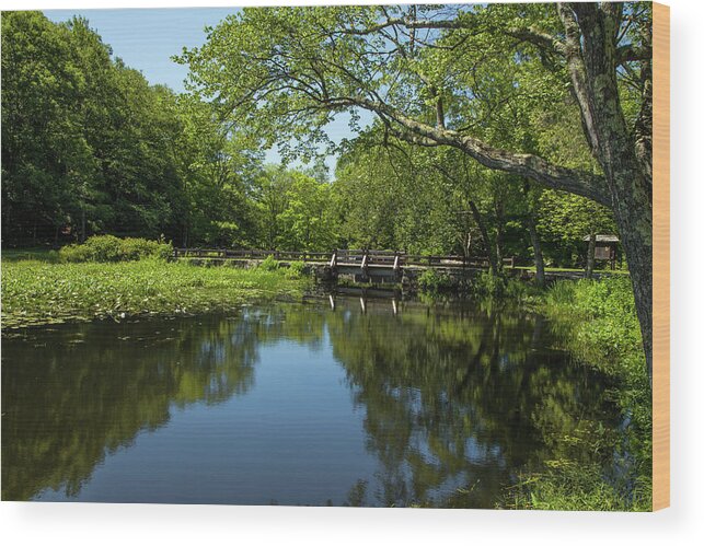 Summers Quiet Wood Print featuring the photograph Summers Quiet by Karol Livote