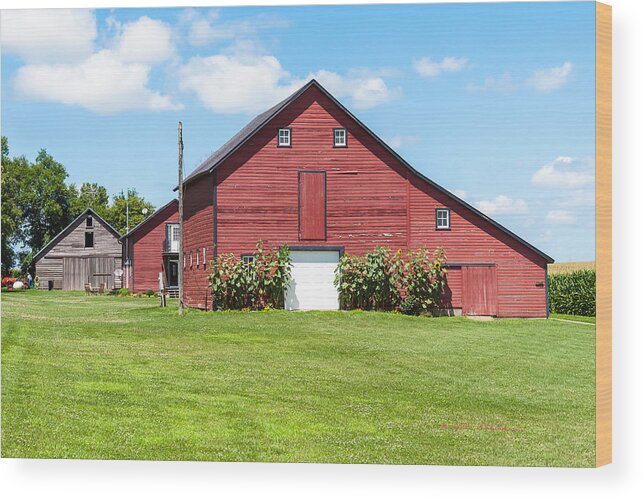 Barns Wood Print featuring the photograph Sun Flower Barn by Ed Peterson