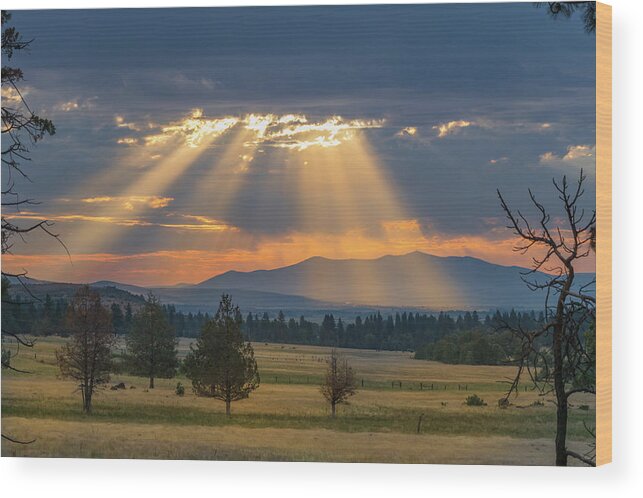 Landscape Wood Print featuring the photograph Sun Rays In the Valley by Randy Robbins