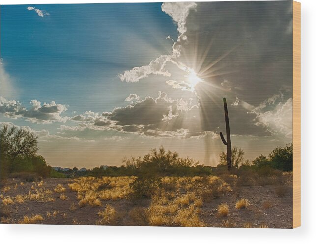 Tucson Wood Print featuring the photograph Sun Rays in Tucson by Dan McManus