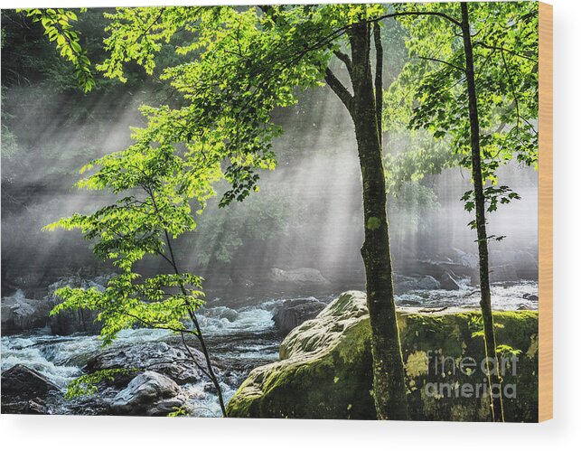 Williams River Wood Print featuring the photograph Sun Rays on Williams River by Thomas R Fletcher
