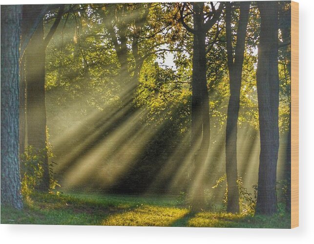 Sunbeams Wood Print featuring the photograph Sunbeams VII by Sumoflam Photography