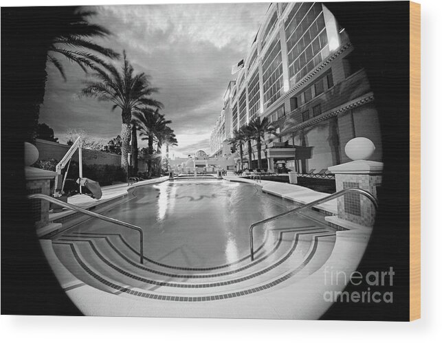  Wood Print featuring the digital art Suncoast by Darcy Dietrich