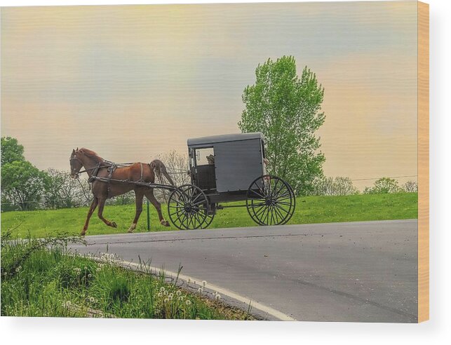 Amish Wood Print featuring the photograph Sunday Ride at Sunset on Ronks Road by Dyle Warren