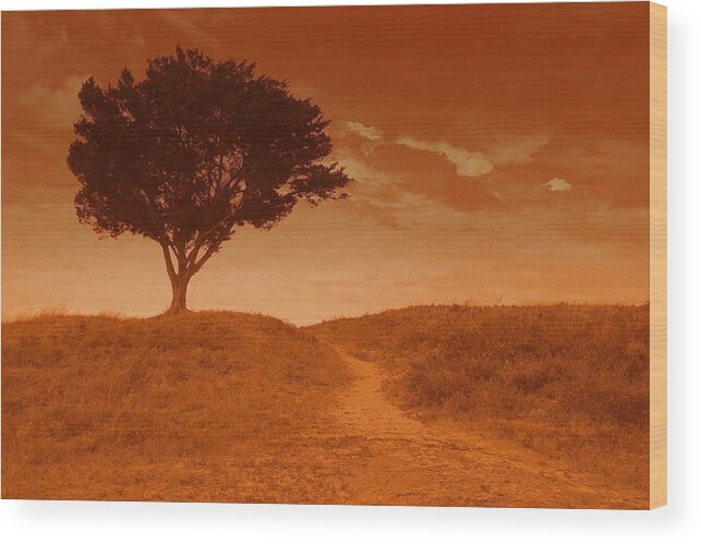 Landscape Wood Print featuring the photograph Sundown Alone by Julie Lueders 