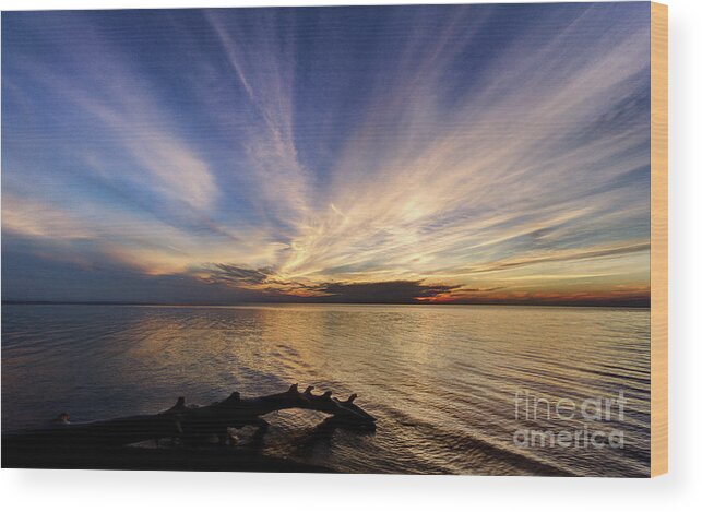Sunset Wood Print featuring the photograph Sundown by Rod Best