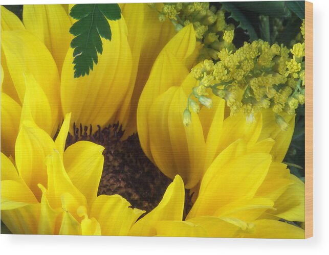 Annual Wood Print featuring the photograph Sunflower Macro by Tom Mc Nemar