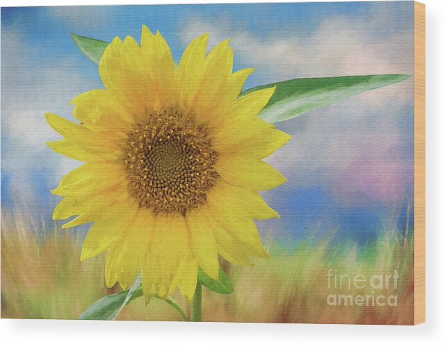 Sunflower Wood Print featuring the photograph Sunflower Surprise by Bonnie Barry