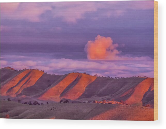 Landscape Wood Print featuring the photograph Sunlit Hills and Clouds by Marc Crumpler