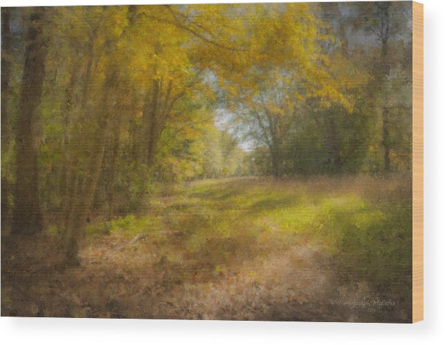 Sunlit Wood Print featuring the painting Sunlit Meadow in Borderland by Bill McEntee